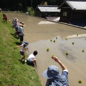 子どもたちと田植えの準備