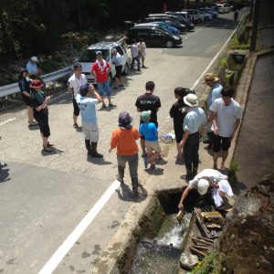 田植えの準備