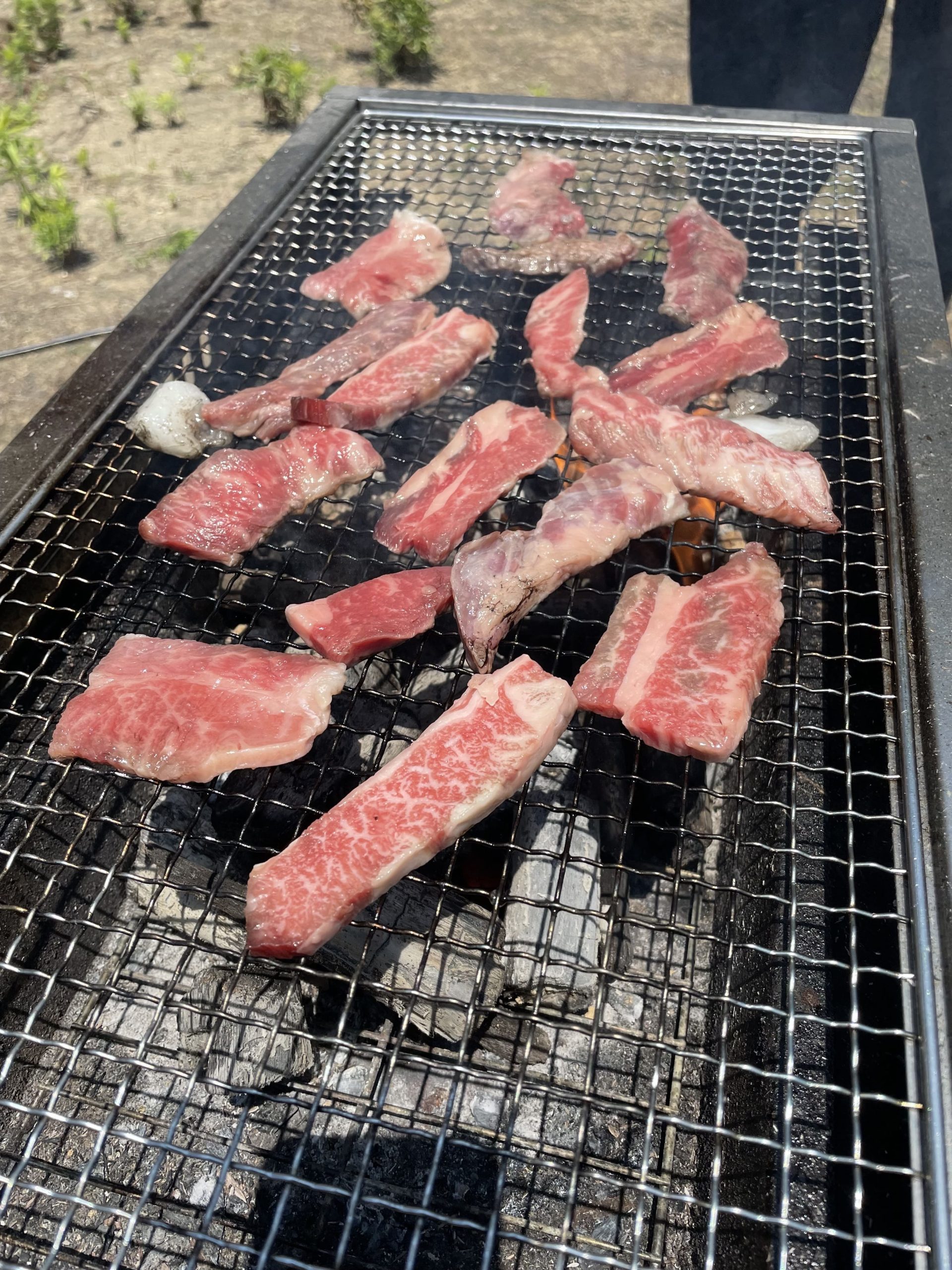 お肉